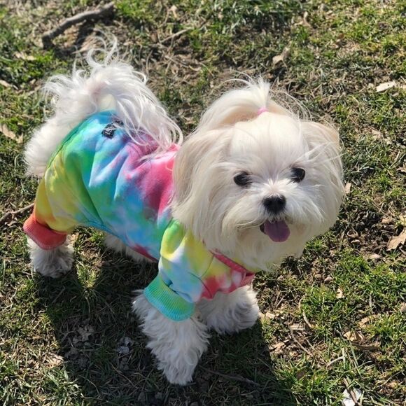 love thy beast Other - Medium NWT Love Thy Beast Tie Dye Rainbow Pet Dog Clothes pine piece